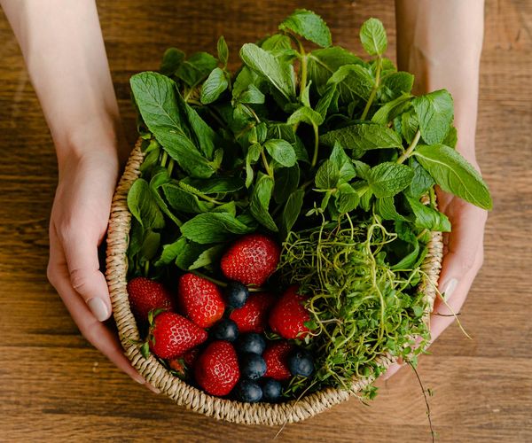 Fresh green herbs and healthy lifestyle elements on a table